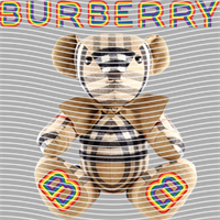 Brand Catalog-ZX 645